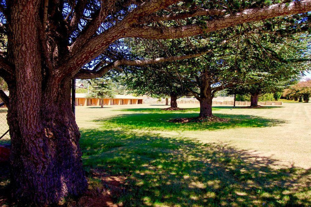 Snowy Mountains Resort And Function Centre Adaminaby Exterior foto